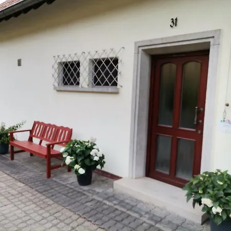 Haus Maximilian 公寓 *