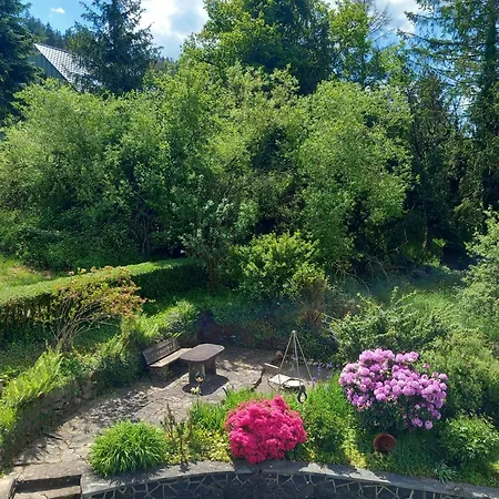 Апартаменты Haus Maximilian Rammelsbach