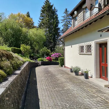 Апартаменты Haus Maximilian Rammelsbach